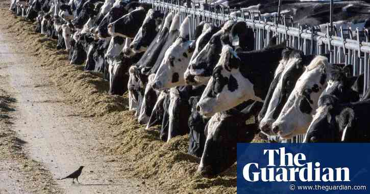 Top UK food firms urged to do more to cut ‘staggering’ emissions