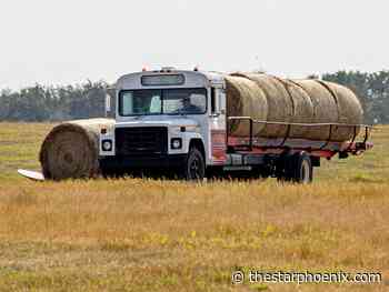 Letters: Rapid growth in size of farms is eroding rural Saskatchewan