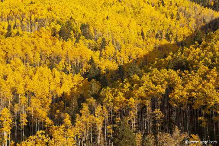 Fall foilage photos from across New Mexico through the years