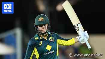 Litchfield stars in Australia's T20 win over New Zealand