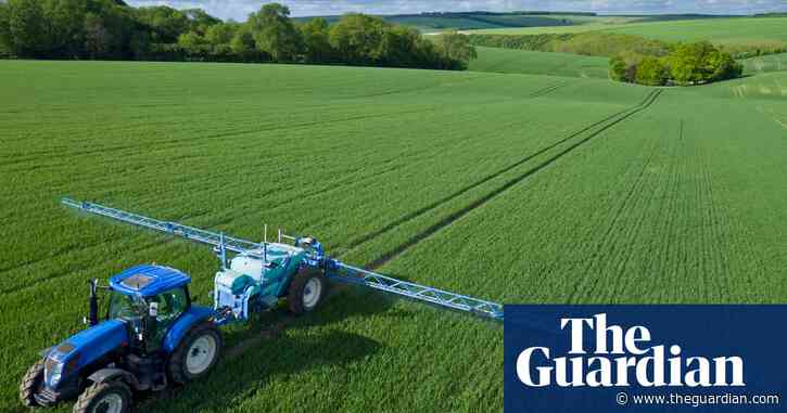 Revealed: Far higher pesticide residues allowed on food since Brexit