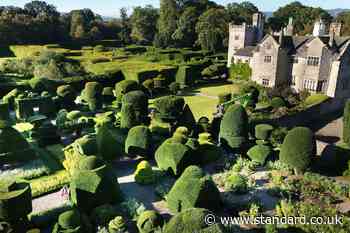 Gardeners begin mammoth six-month trim of world’s oldest topiary