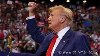 NFL fan forced to throw Donald Trump 'MAGA' hat in the trash by stadium staff receives apology from team amid outrage