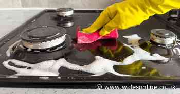 Woman's grimy hob left sparkling thanks to £2 cleaning product that 'smells amazing'