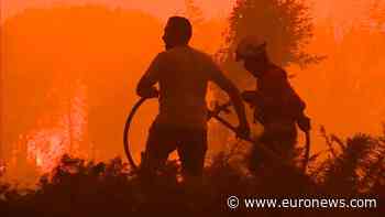 WATCH: Firefighters battle hundreds of fires across central Portugal