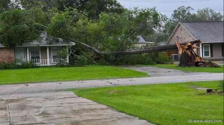 Small Business Administration setting up recovery center in Morgan City