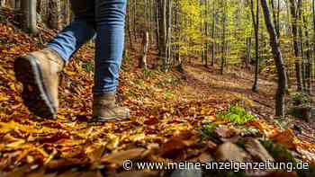 Herbst-Highlights auf der Deutschen Alpenstraße: Hier sollten Sie Stopps einplanen