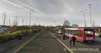 Group of teens pick up elderly man, 92, and throw him to ground in sick bus stop attack