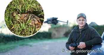 Bonne redde al ruim 100 jonge reeën uit het hoge gras: ‘Boeren kunnen weer met een gerust hart maaien’