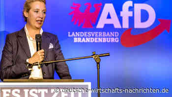 Landtagswahl Brandenburg: AfD gewinnt Jugendwahl