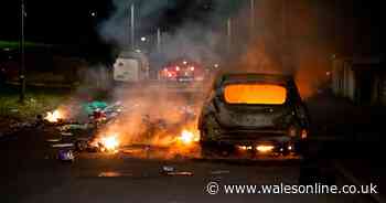 'Restless and agitated' crowd threw missiles including petrol bombs at police in Ely riots as full details heard in court for first time