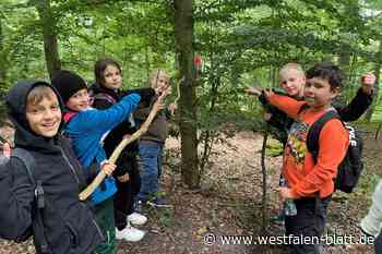 Waldjugendspiele in Halle