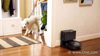 Best Vacuums for Pet Hair for 2024