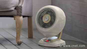 Best Space Heaters in 2024