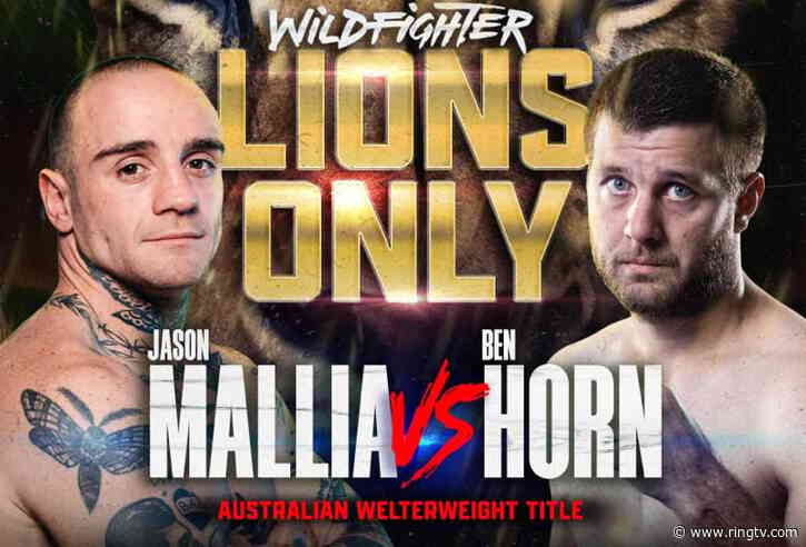 Jason Mallia outpoints Ben Horn to be crowned Australian welterweight champion