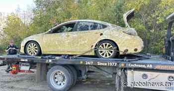 Car submerged in Alberta lake for nearly 1 year finally removed