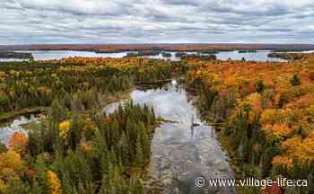 Here's how to plan the perfect fall adventure in Ontario