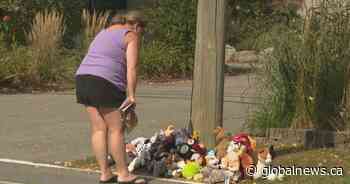 ‘I couldn’t stop crying’: Memorial grows for 5-year-old boy killed in home