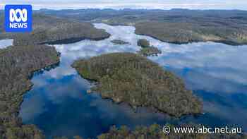 It was meant to fly high-paying guests to a remote island in Tasmania's wilderness. Now the company is in liquidation