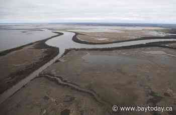 Lawsuit by Manitoba chiefs urges Lake Winnipeg be legally defined as a person