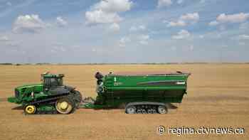 Sask. harvest 74% complete, according to crop report