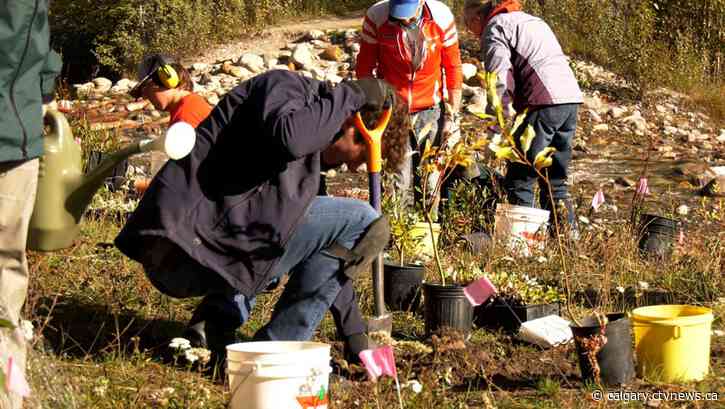 Volunteers help Parks Canada with riparian restoration at Cascade Creek