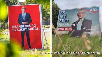 Landtagswahl in Brandenburg: Umfrage zeigt enges Rennen zwischen AfD und SPD