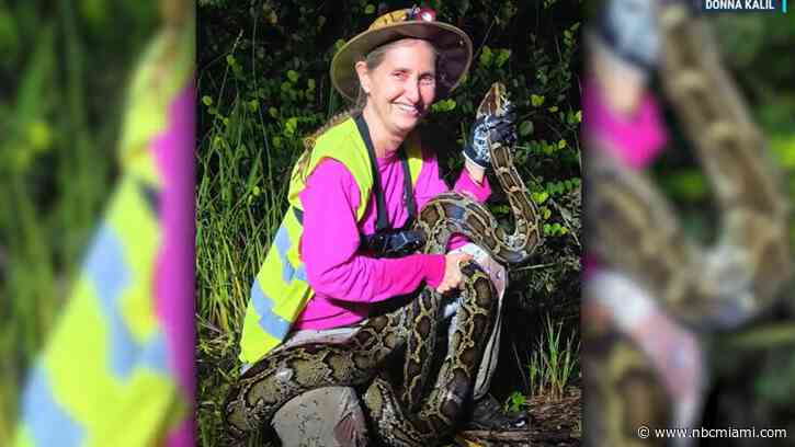 Florida Python Challenge runner-up gets closer to goal of removing 1,000 snakes