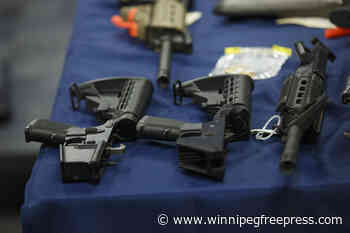 From 16 charges to one: gun offence nets house arrest