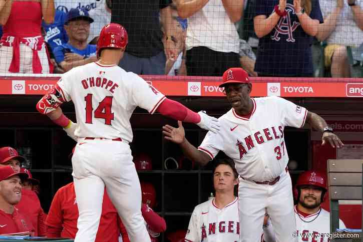 Angels embrace experience of September baseball against a contender