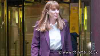 Labour donor Lord Alli lent Angela Rayner his luxury £2m New York flat to spend New Year in