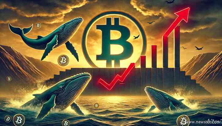 Bitcoin Price Rally Faces Key Resistance: Will Whale Shorts Trigger A Market Pullback?