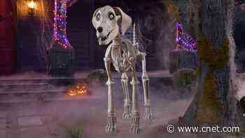 Home Depot's 12-Foot Skeleton Adds a Doggy Friend to His Spooky Universe