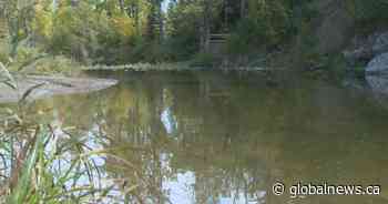 Calgary police searching for sexual assault suspect after attack at swimming hole