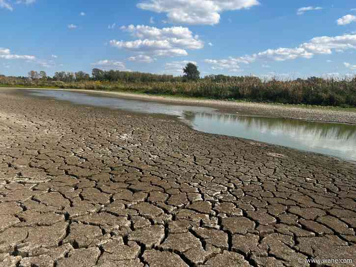 Drought leaves wetlands at Eagle Marsh dried up