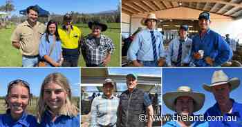 See our photos from studstock sales over the past fortnight