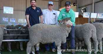 "I think we have turned a corner," says Wiringa Park Poll Merino principal