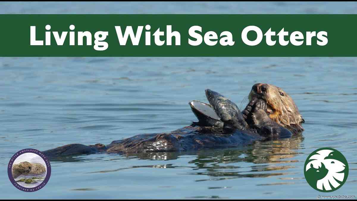 Living with Sea Otters: A New Look at Coexistence with a Recovering Species