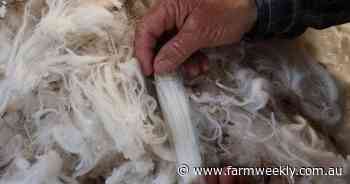 National wool market stabilises on the back of lower offering