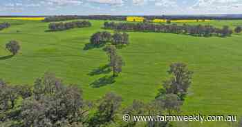 Well-managed property offers fertile soil, high rainfall and lots of water