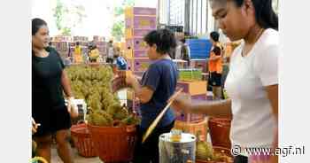 Vulkanische durian uit Zuid-Thailand creëert grote vraag