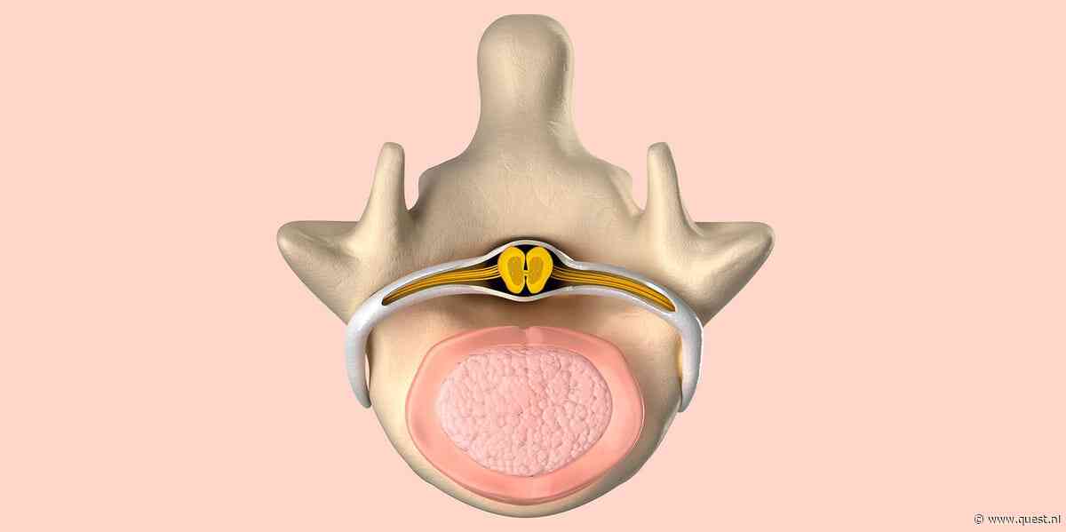 De functie van je ruggenmerg: de snelweg van je lichaam