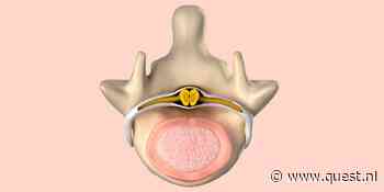 De functie van je ruggenmerg: de snelweg van je lichaam