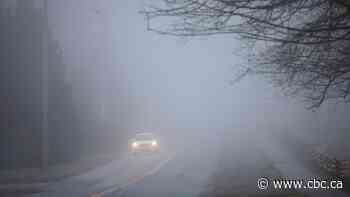 School buses in Essex County are cancelled due to fog