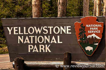 Yellowstone warns about hazards after woman falls into thermal pool