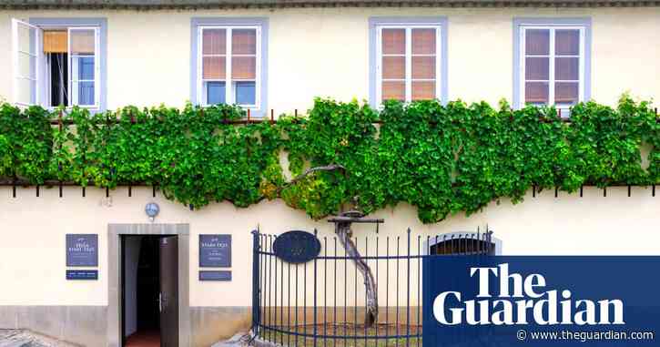 Ageing tastefully: the enduring appeal of old vine wines