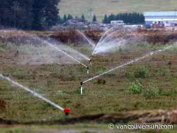 'We're being vilified': With droughts increasing, B.C. farmers need water reserved for food production