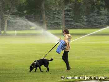 Edmonton weather: Possible rainy and frosty Friday on tap