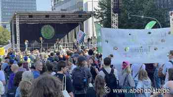 Fridays for Future: Weniger Teilnehmer als erwartet