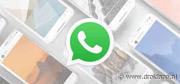 WhatsApp laat je binnenkort chat-thema’s maken